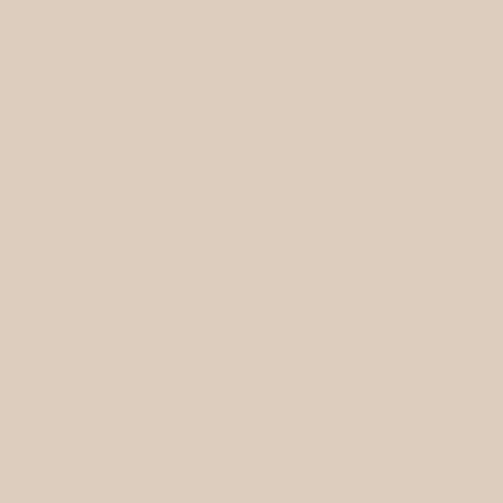 Hazelnut.png